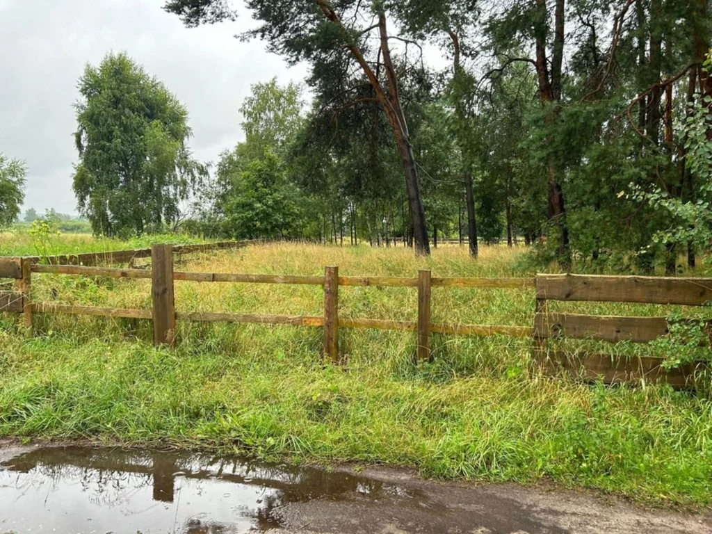 Działka 1 128,00 m², oferta nr , 43101/3186/OGS, Dębki