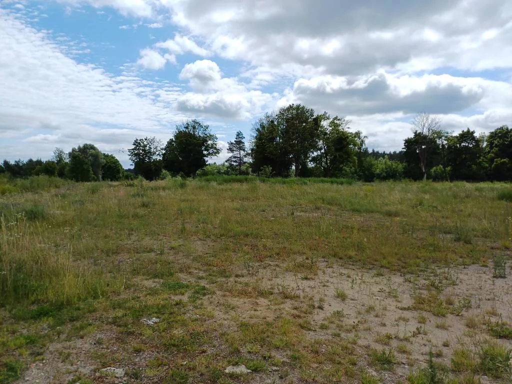 Działka 2 327,00 m², oferta nr , 42706/3186/OGS, Trzcińsk, Dębowa