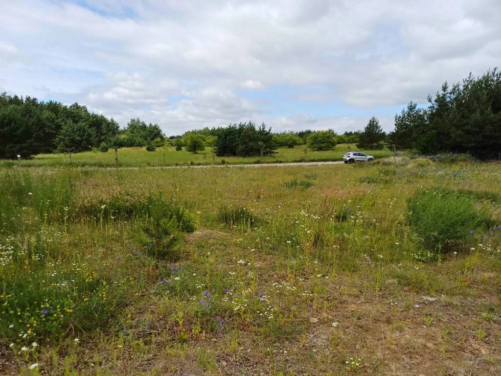 Działka 2 327,00 m², oferta nr , 42706/3186/OGS, Trzcińsk, Dębowa