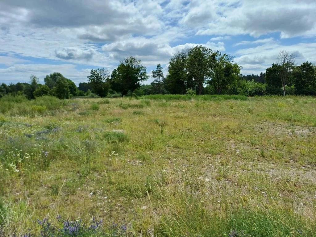 Działka 2 327,00 m², oferta nr , 42706/3186/OGS, Trzcińsk, Dębowa