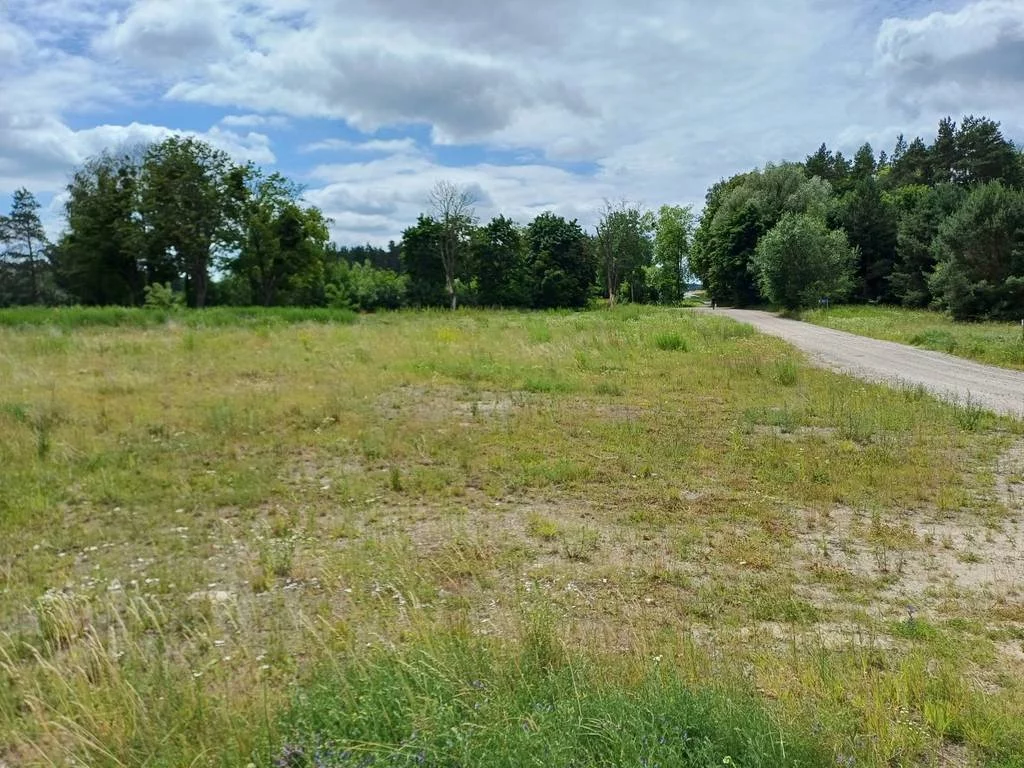 Działka 2 327,00 m², oferta nr , 42986/3186/OGS, Trzcińsk, Dębowa