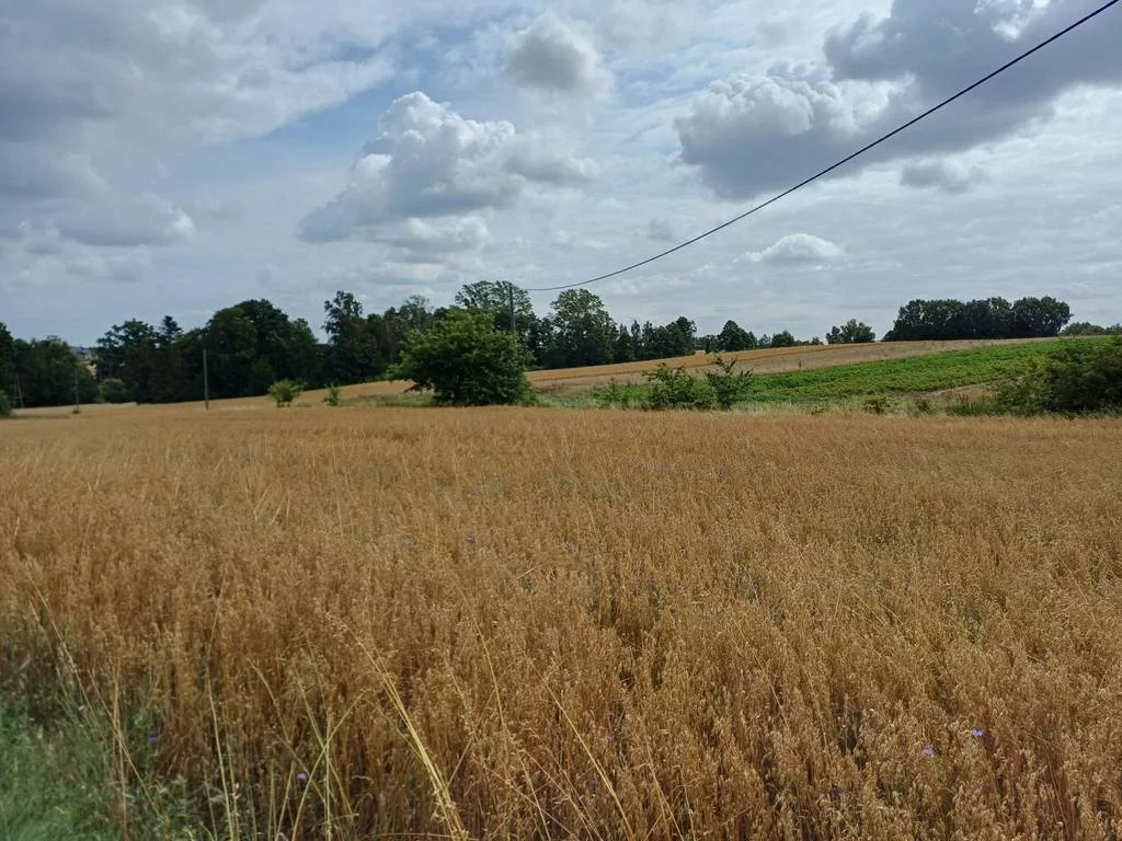 Działka 1 004,00 m², oferta nr , 42601/3186/OGS, Żukowo, Dębowa