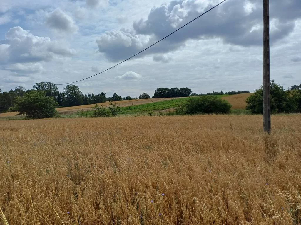 Działka 1 004,00 m², oferta nr , 42601/3186/OGS, Żukowo, Dębowa