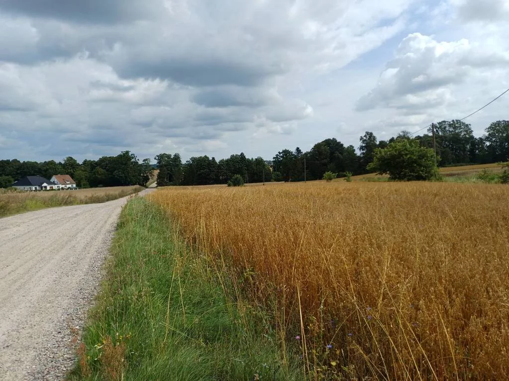 Działka 1 004,00 m², oferta nr , 42601/3186/OGS, Żukowo, Dębowa