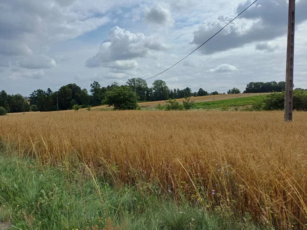 Działka 1 004,00 m², oferta nr , 42865/3186/OGS, Żukowo, Dębowa