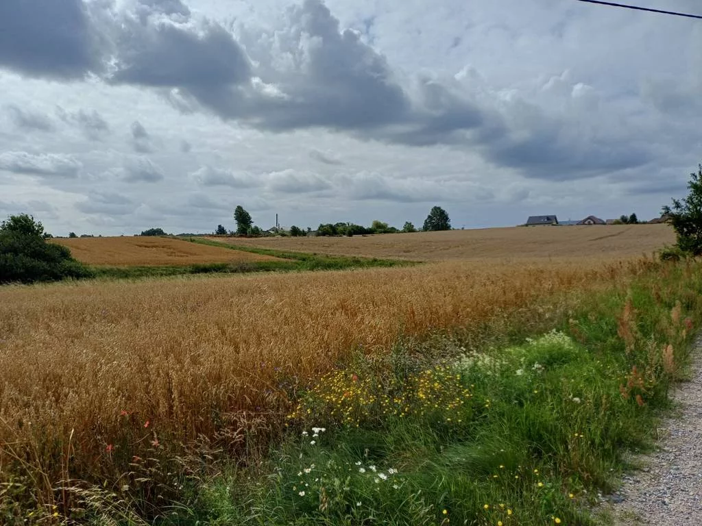 Działka 1 004,00 m², oferta nr , 42865/3186/OGS, Żukowo, Dębowa