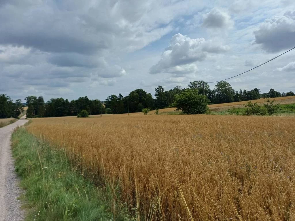 Działka 1 004,00 m², oferta nr , 42865/3186/OGS, Żukowo, Dębowa