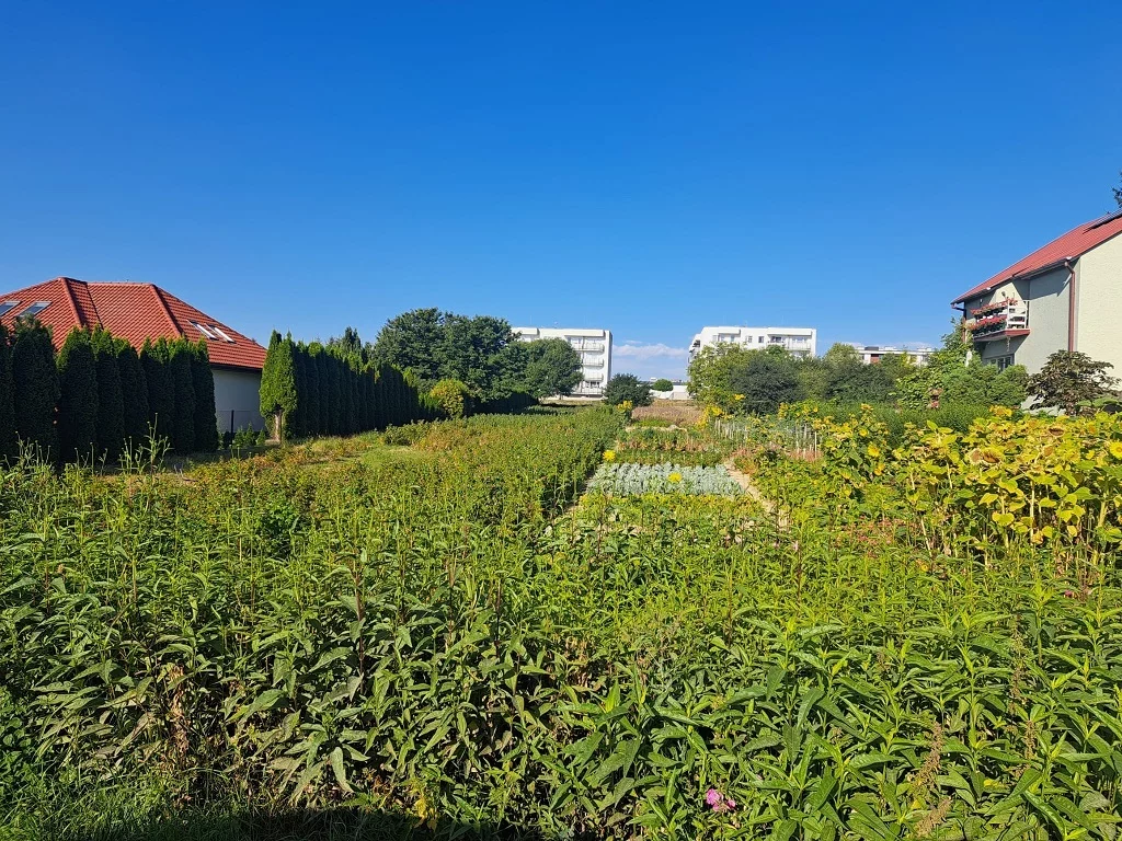 Apartamenty 42735/3186/OGS Świdnik Działkowca