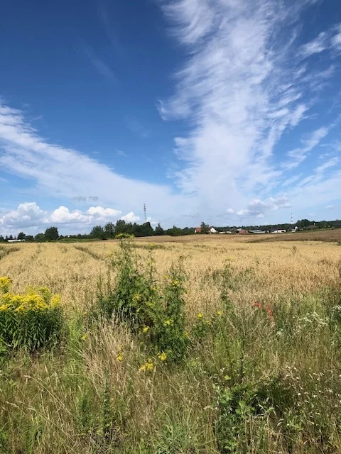 Działka 1 933,00 m², oferta nr , 42935/3186/OGS, Gajewo