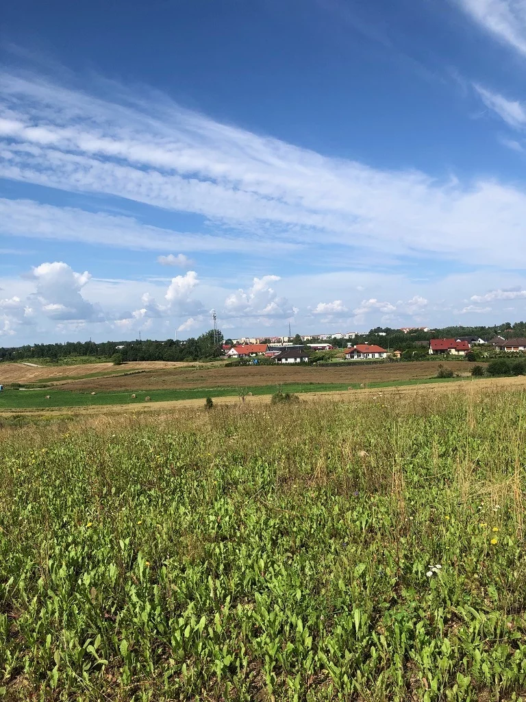 Działka 1 727,00 m², oferta nr , 42936/3186/OGS, Gajewo