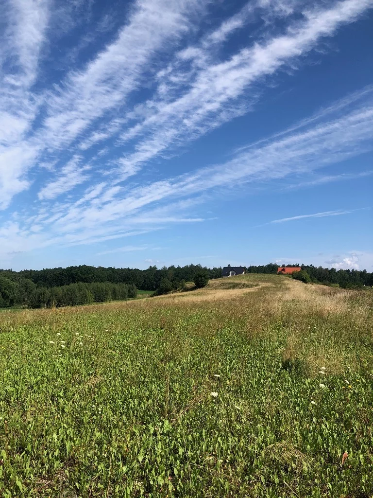 Działka 1 727,00 m², oferta nr , 42936/3186/OGS, Gajewo