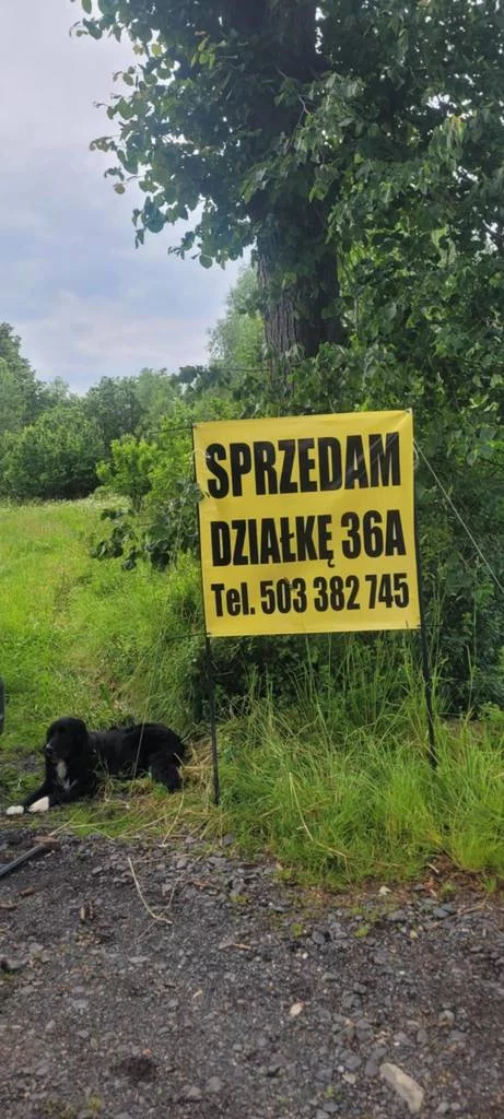 Apartamenty 42385/3186/OGS Giebułtów