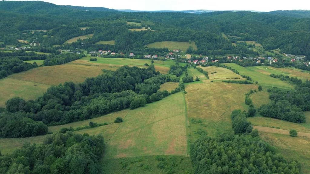Apartamenty 42930/3186/OGS Górzanka