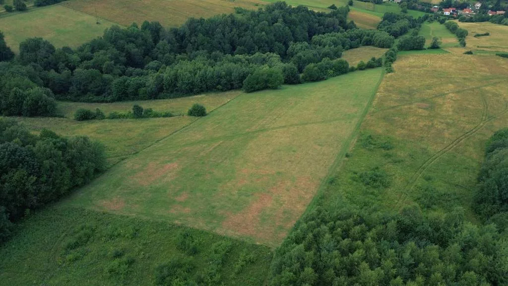 Działka 2 999,99 m², oferta nr , 42930/3186/OGS, Górzanka