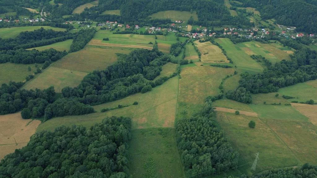 Działka 2 999,99 m², oferta nr , 42930/3186/OGS, Górzanka