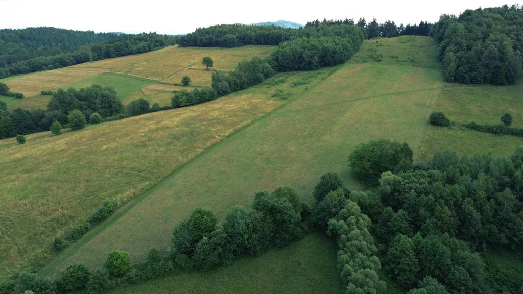 Działka 2 999,99 m², oferta nr , 42930/3186/OGS, Górzanka