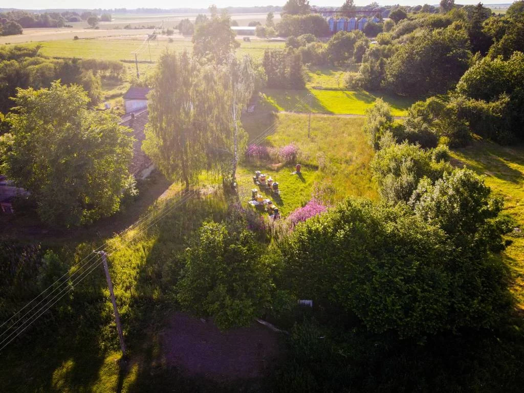 42387/3186/OGS - zdjęcie nr 0