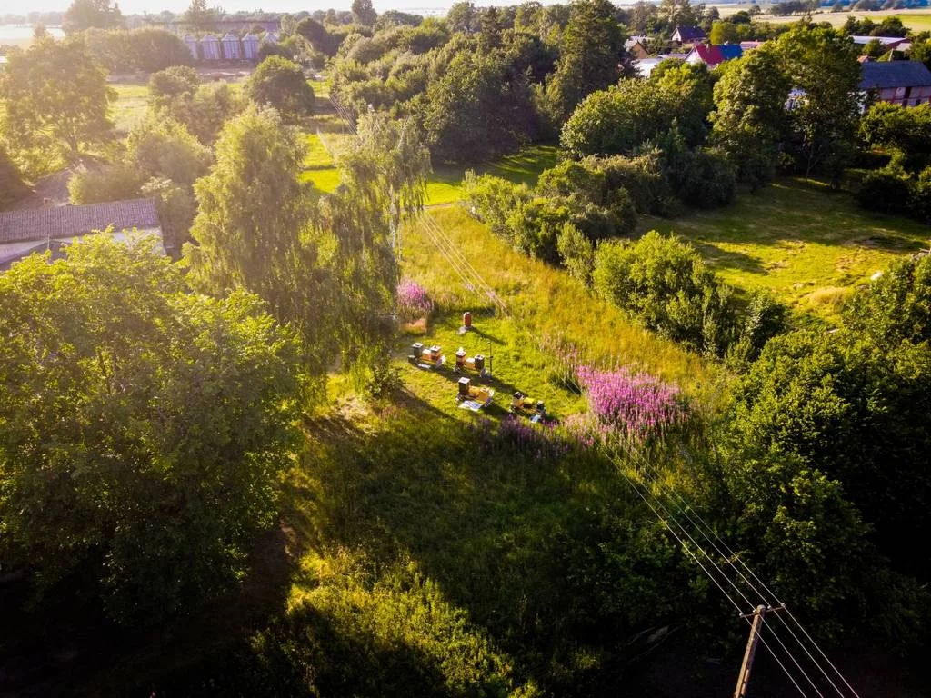 Działka 1 719,00 m², oferta nr , 42629/3186/OGS, Jacinki