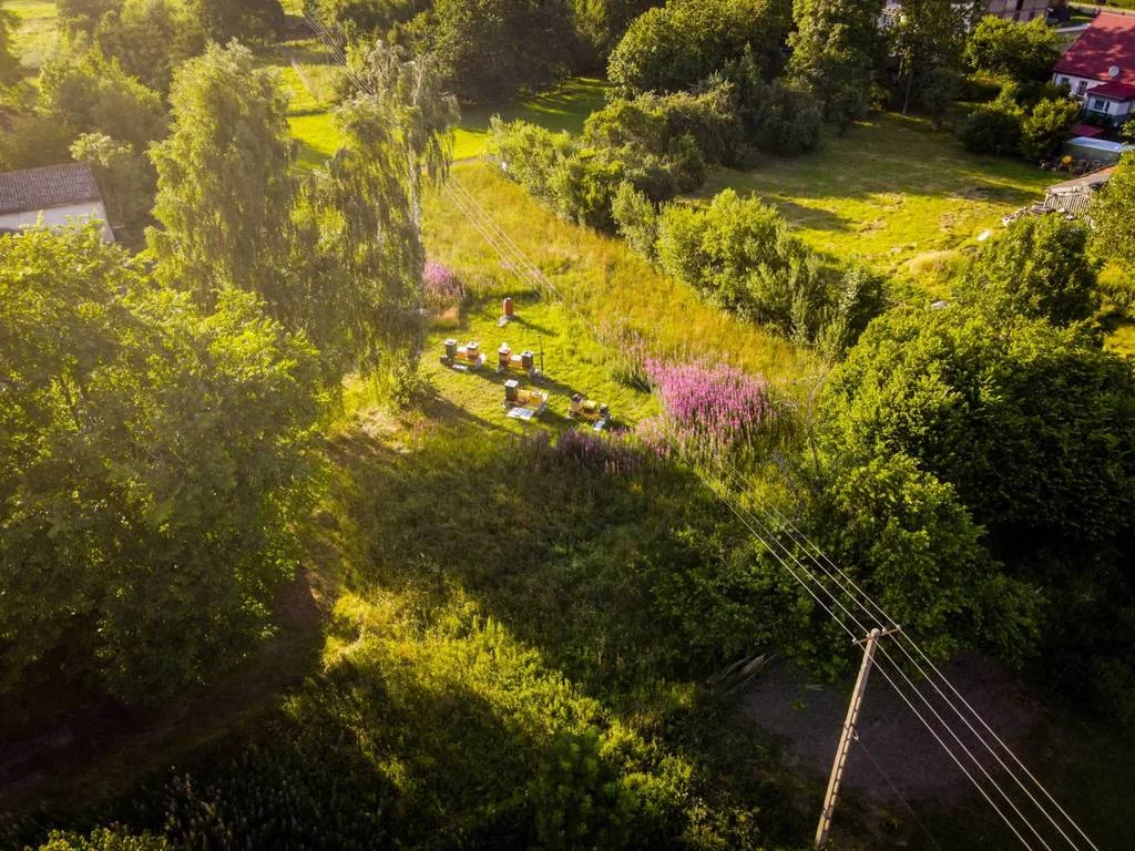 Działka 1 719,00 m², oferta nr , 42629/3186/OGS, Jacinki