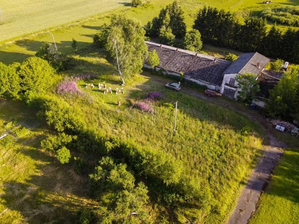 Działka 1 719,00 m², oferta nr , 42902/3186/OGS, Jacinki