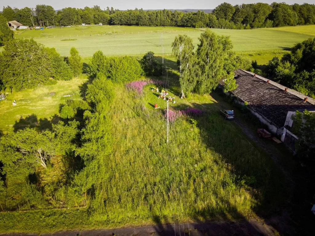 Działka 1 719,00 m², oferta nr , 43134/3186/OGS, Jacinki