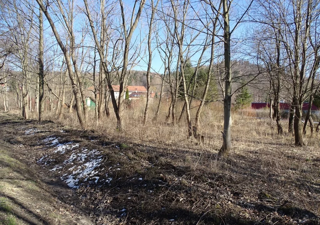 Apartamenty 42862/3186/OGS Kowary Jagiellońska