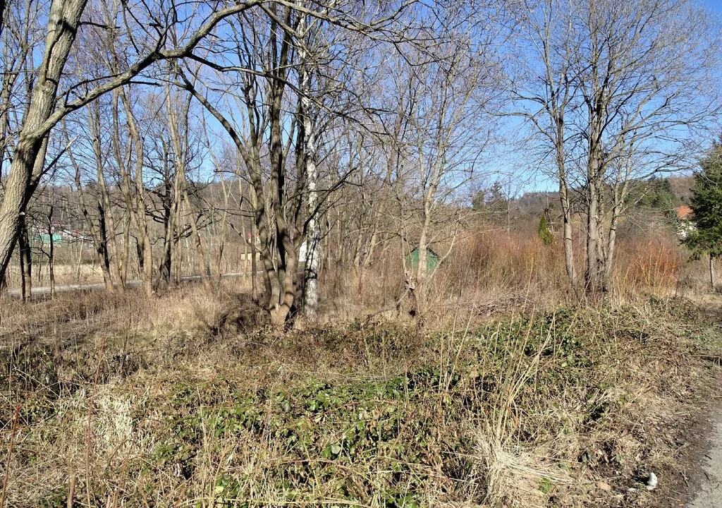Działka 1 370,00 m², oferta nr , 42862/3186/OGS, Kowary, Jagiellońska