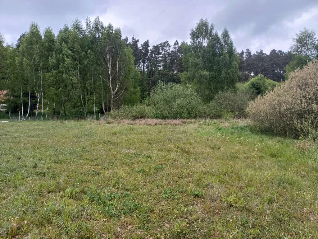 42479/3186/OGS - zdjęcie nr 4