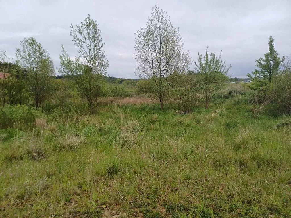 Działka 5 544,00 m², oferta nr , 42655/3186/OGS, Leźno, Jagodowe Wzgórze
