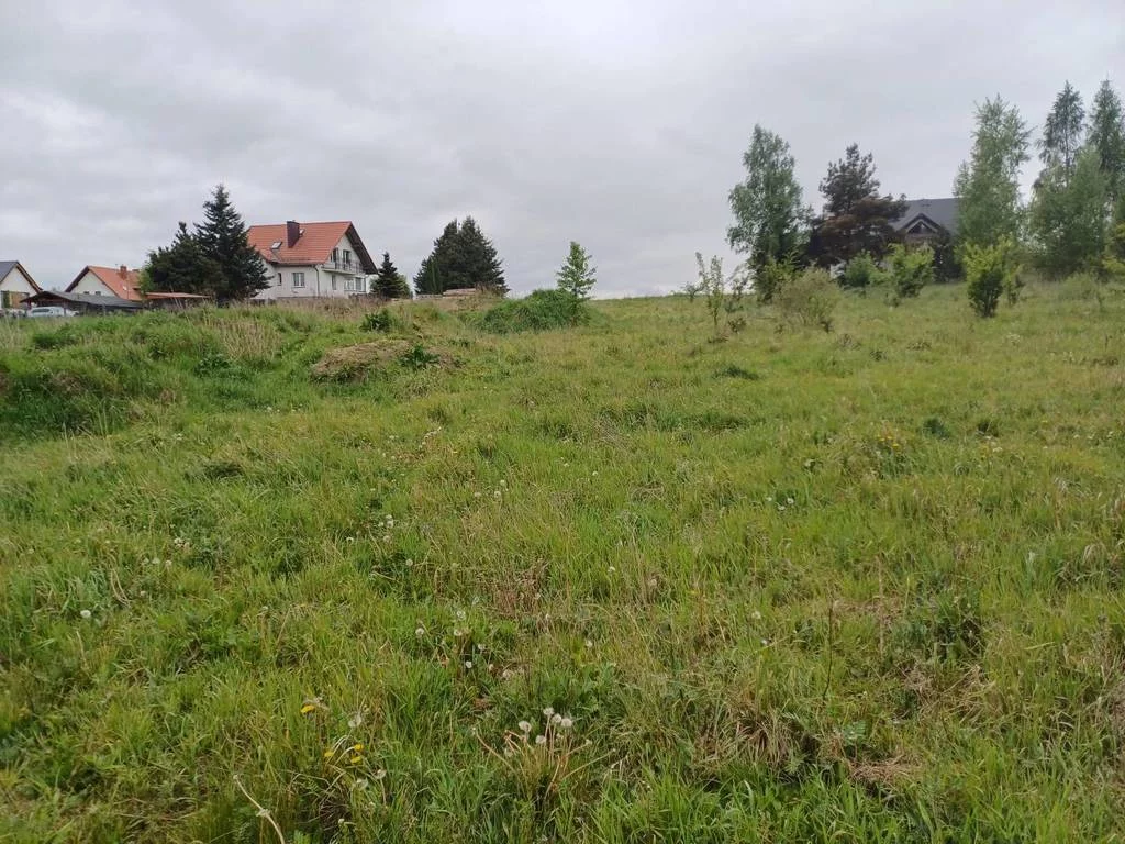 Działka 5 544,00 m², oferta nr , 42655/3186/OGS, Leźno, Jagodowe Wzgórze