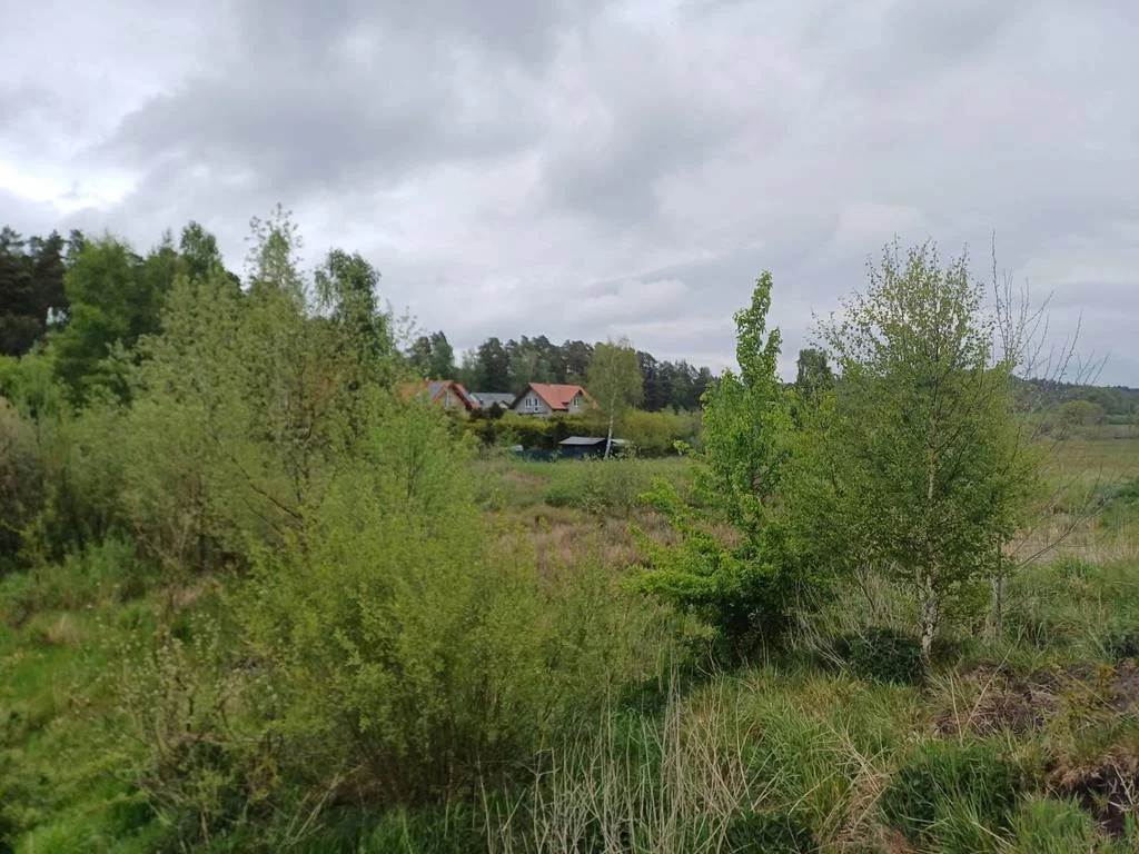 Działka 5 544,00 m², oferta nr , 42655/3186/OGS, Leźno, Jagodowe Wzgórze