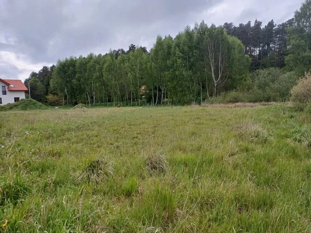 Działka 5 544,00 m², oferta nr , 42945/3186/OGS, Leźno, Jagodowe Wzgórze