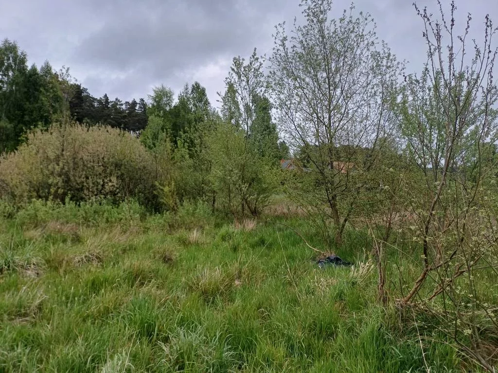 Działka 5 544,00 m², oferta nr , 43138/3186/OGS, Leźno, Jagodowe Wzgórze