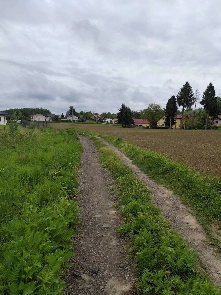 42373/3186/OGS - zdjęcie nr 3