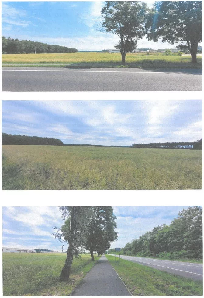 Działka 129 503,00 m², oferta nr , 43122/3186/OGS, Kalsk