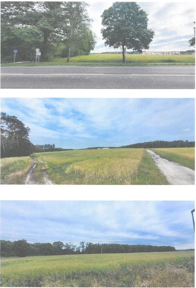 Działka 129 503,00 m², oferta nr , 43122/3186/OGS, Kalsk