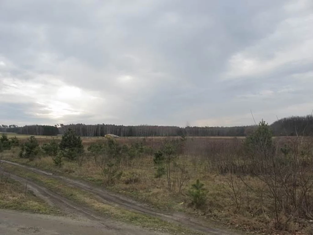 Działka 12 619,00 m², oferta nr , 42647/3186/OGS, Kaszowo