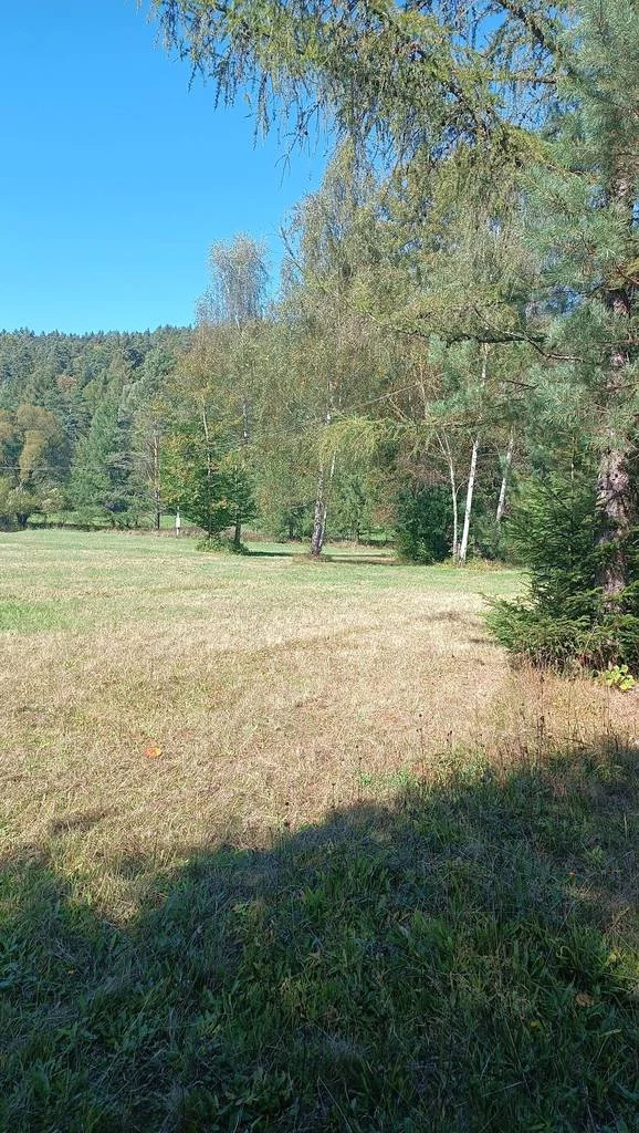 Działka 4 000,00 m², oferta nr , 43015/3186/OGS, Komańcza