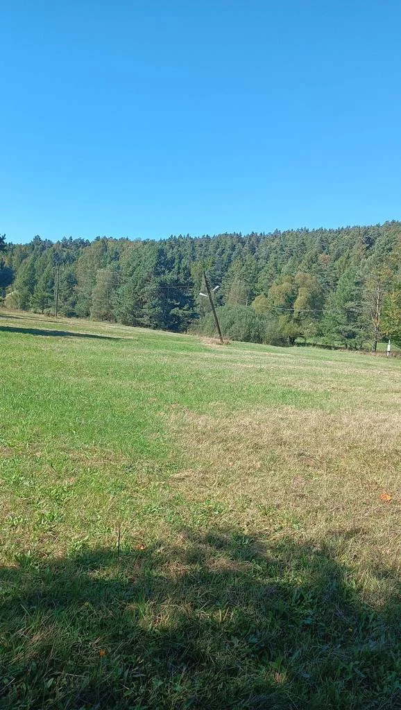 Działka 4 000,00 m², oferta nr , 43015/3186/OGS, Komańcza