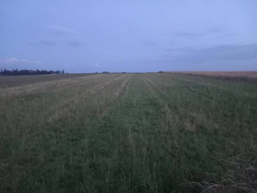 Apartamenty 43095/3186/OGS Krupiec