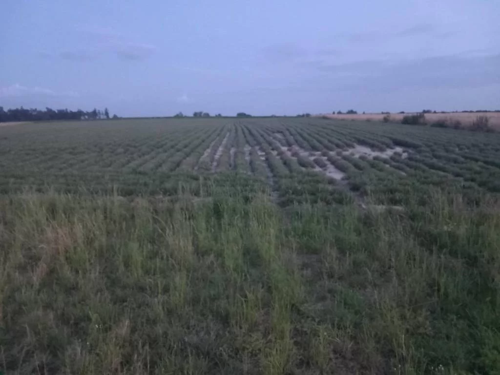 Działka 3 840,00 m², oferta nr , 43095/3186/OGS, Krupiec