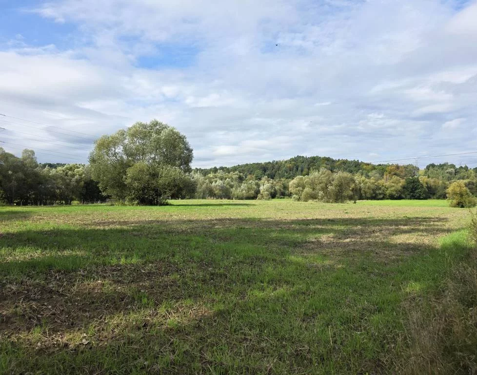 Działka 8 200,00 m², oferta nr , 43126/3186/OGS, Krzywaczka