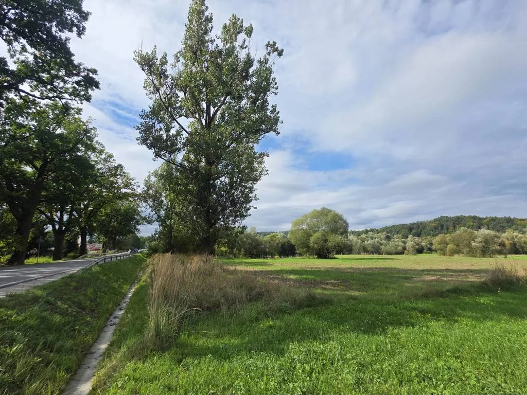 Działka 8 200,00 m², oferta nr , 43126/3186/OGS, Krzywaczka