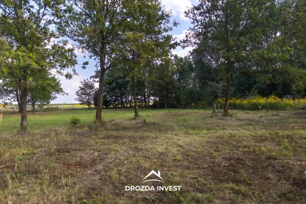 Działka 1 799,00 m², oferta nr , 43070/3186/OGS, Księstwo