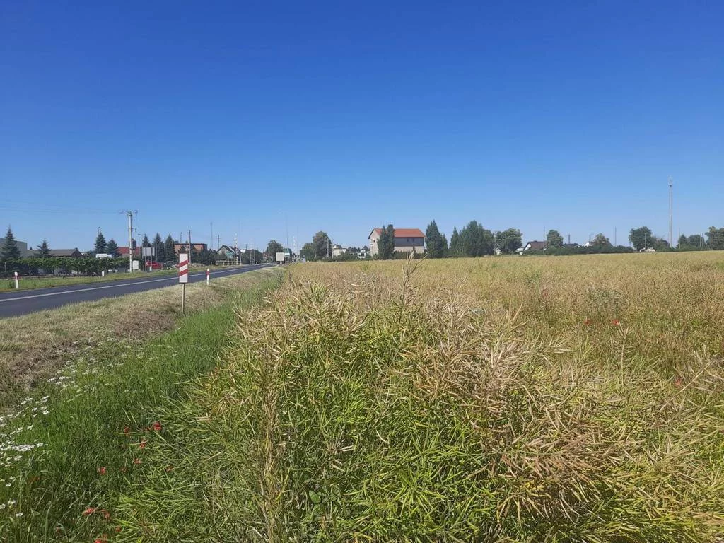 Apartamenty 42645/3186/OGS Kuczynka