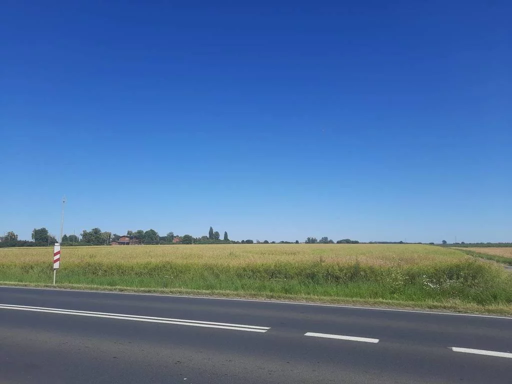 42645/3186/OGS - zdjęcie nr 0