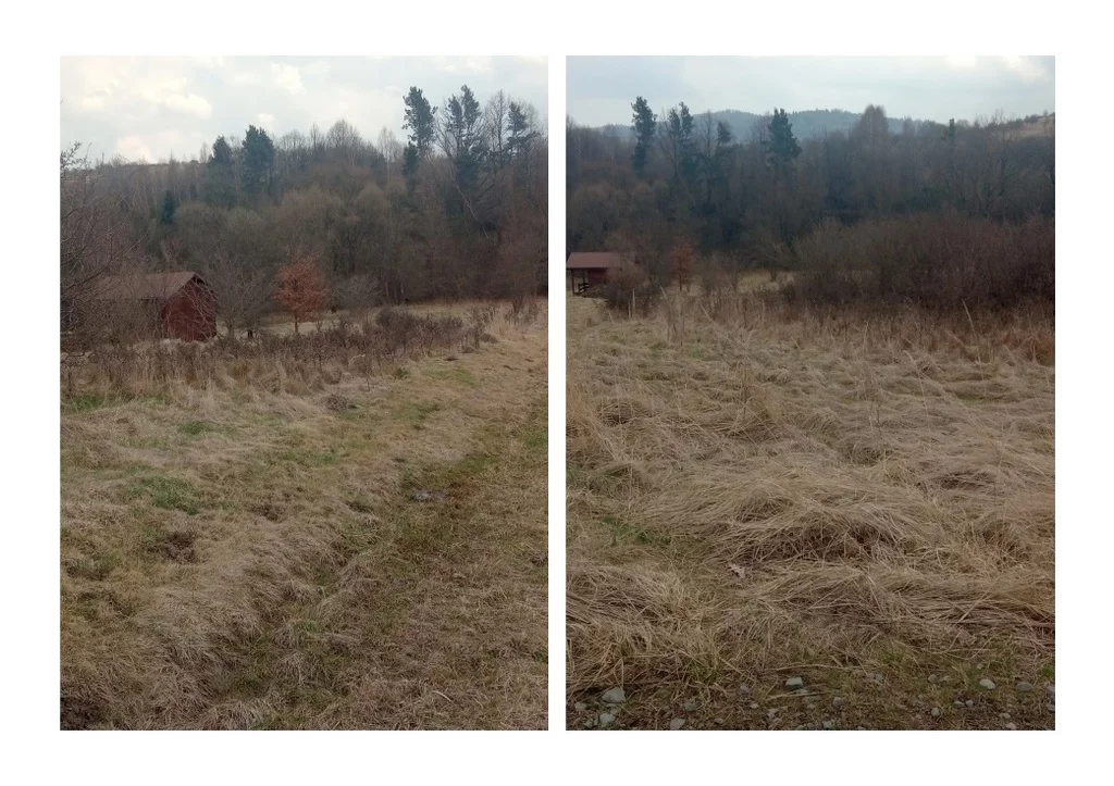 Działka 7 467,00 m², oferta nr , 42844/3186/OGS, Żywiec, Łagodna