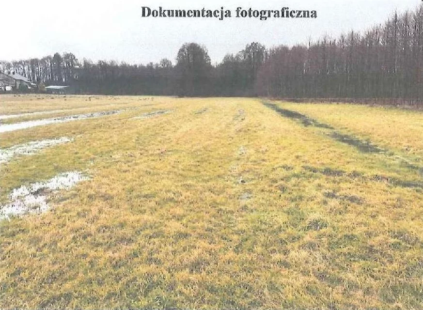 Działka 2 728,00 m², Władysławów, Lecha, Sprzedaż