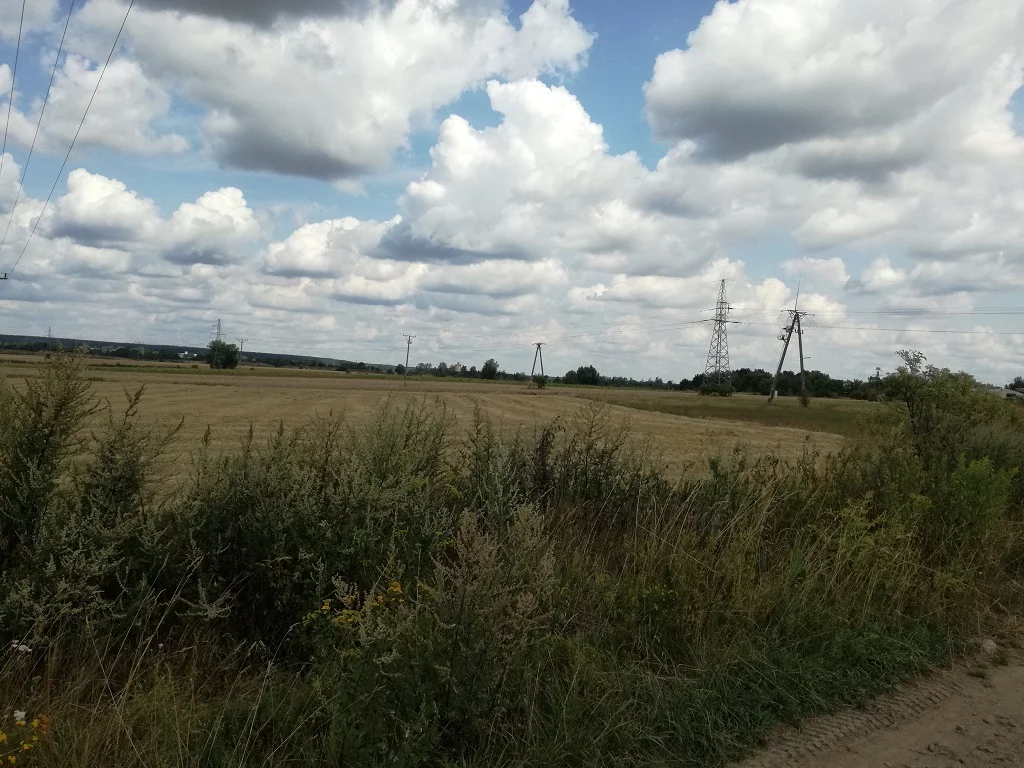 42757/3186/OGS - zdjęcie nr 0