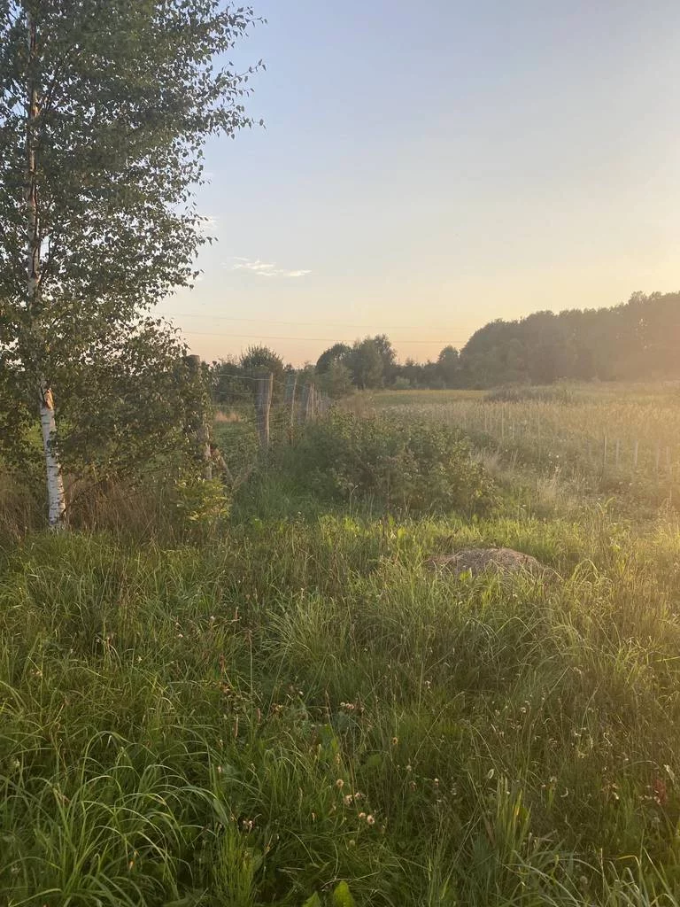 Działka 34 500,00 m², oferta nr , 38981/3186/OGS, Lidzbark Warmiński